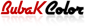 Logo Bubak Color